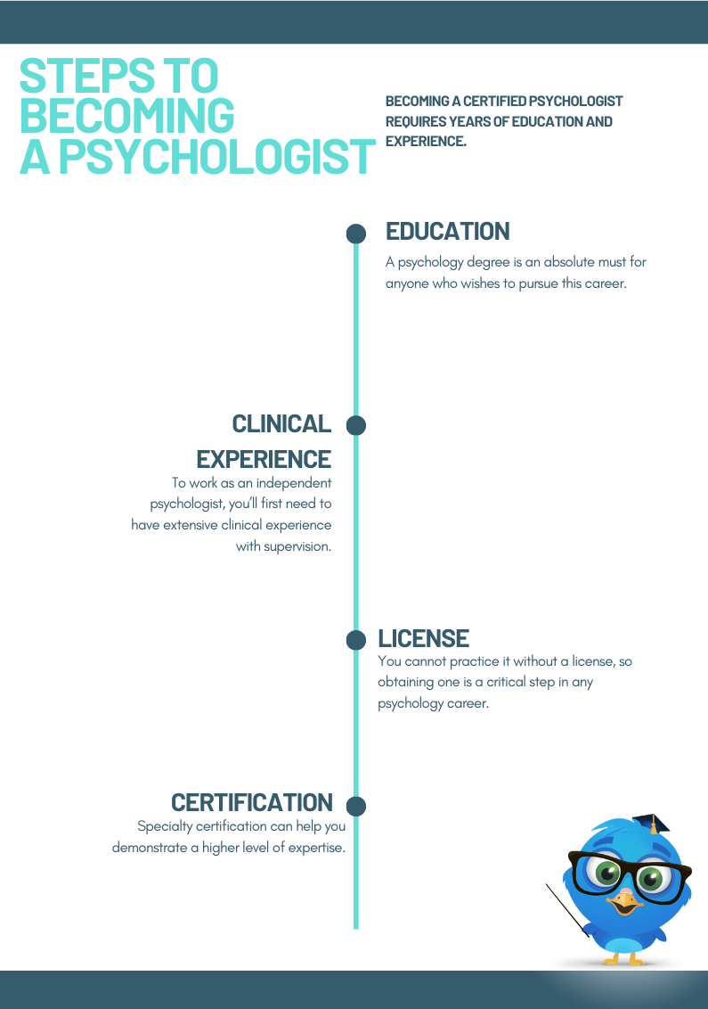 A Comprehensive Career Overview of Psychologist in the USA