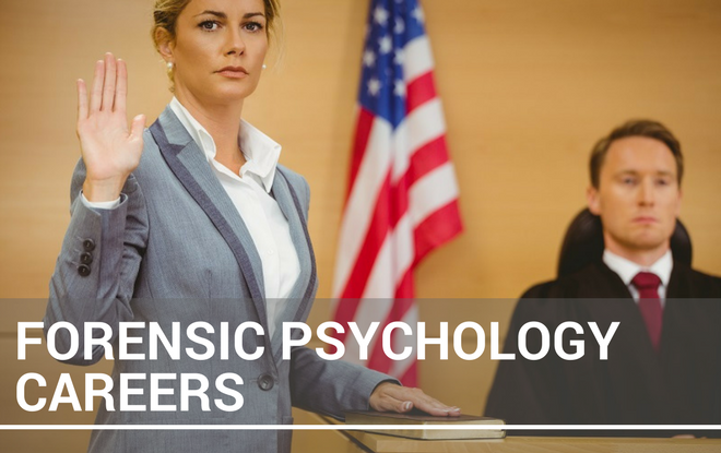 A Comprehensive Guide to a Career in Forensic Psychology in the USA