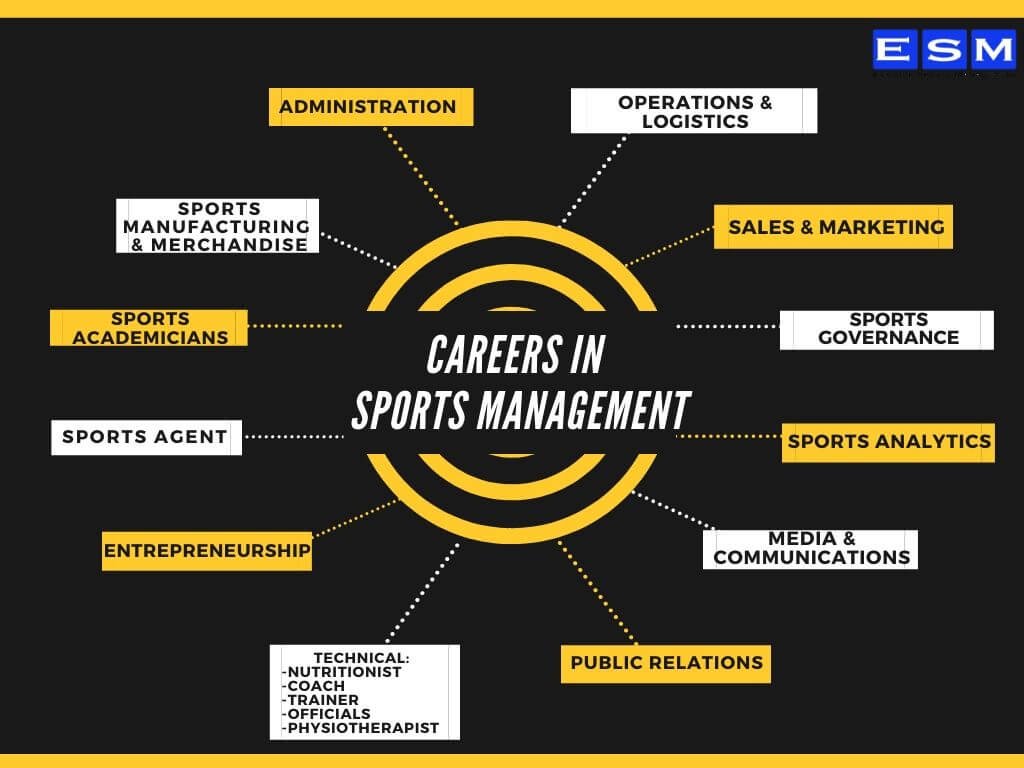 Exploring a Career in Sports Agency