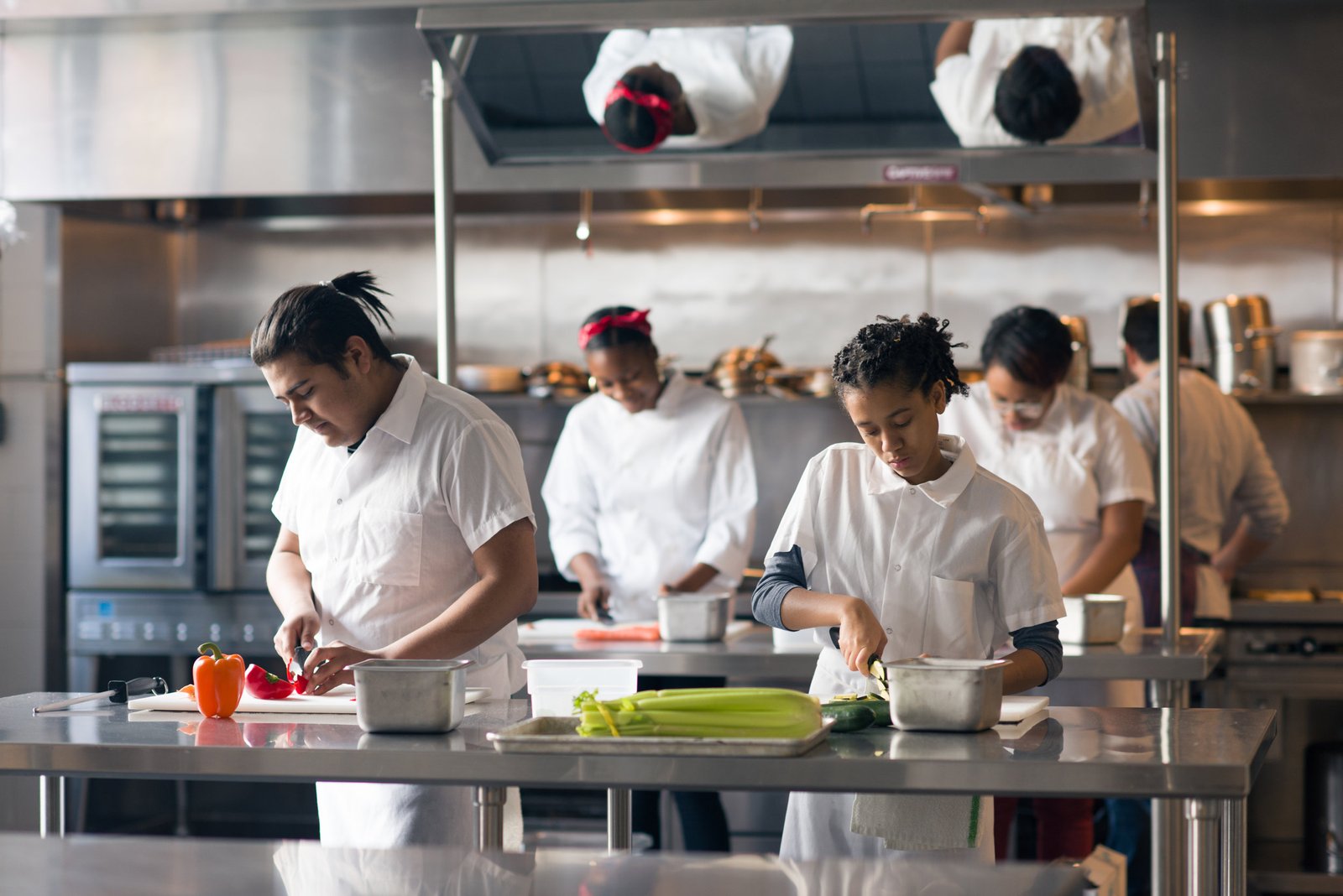 Exploring the Culinary World: A Career Overview for Future Chefs Exploring the Culinary World: A Career Overview for Future Chefs