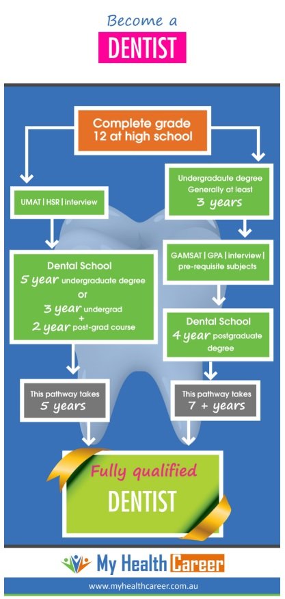Exploring the Dentist Career Path in the USA Exploring the Dentist Career Path in the USA