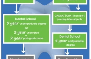 Exploring the Dentist Career Path in the USA
