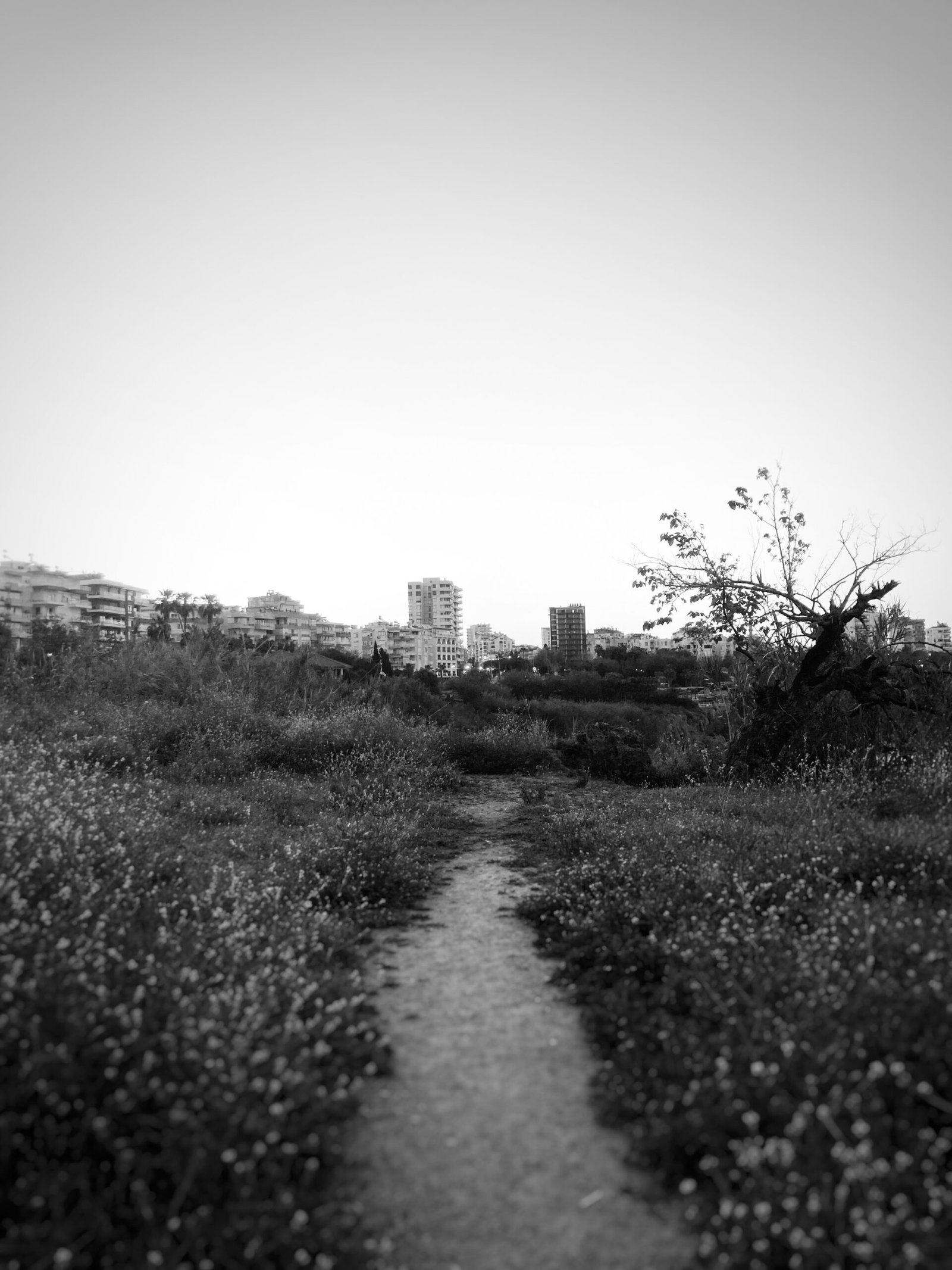 Exploring the Radiology Career Path in the USA