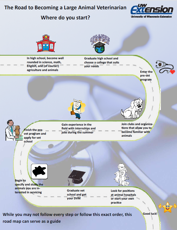 Exploring the Veterinary Career Path in the USA