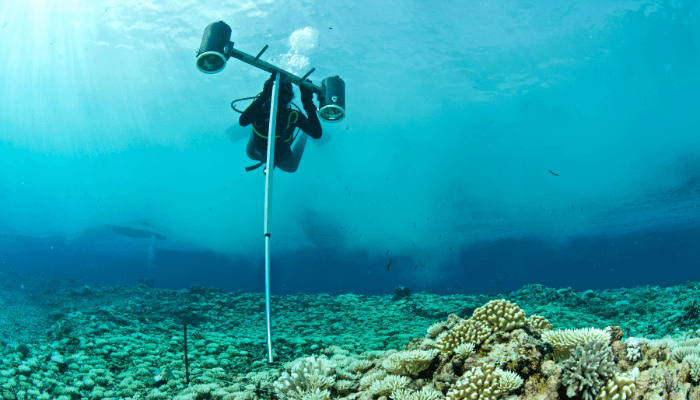 Mastering the Path to Becoming a Marine Biologist