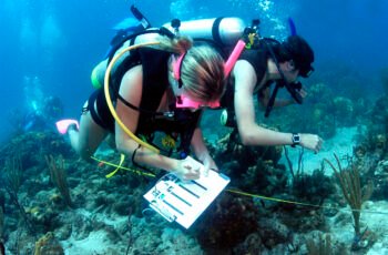 Mastering the Path to Becoming a Marine Biologist