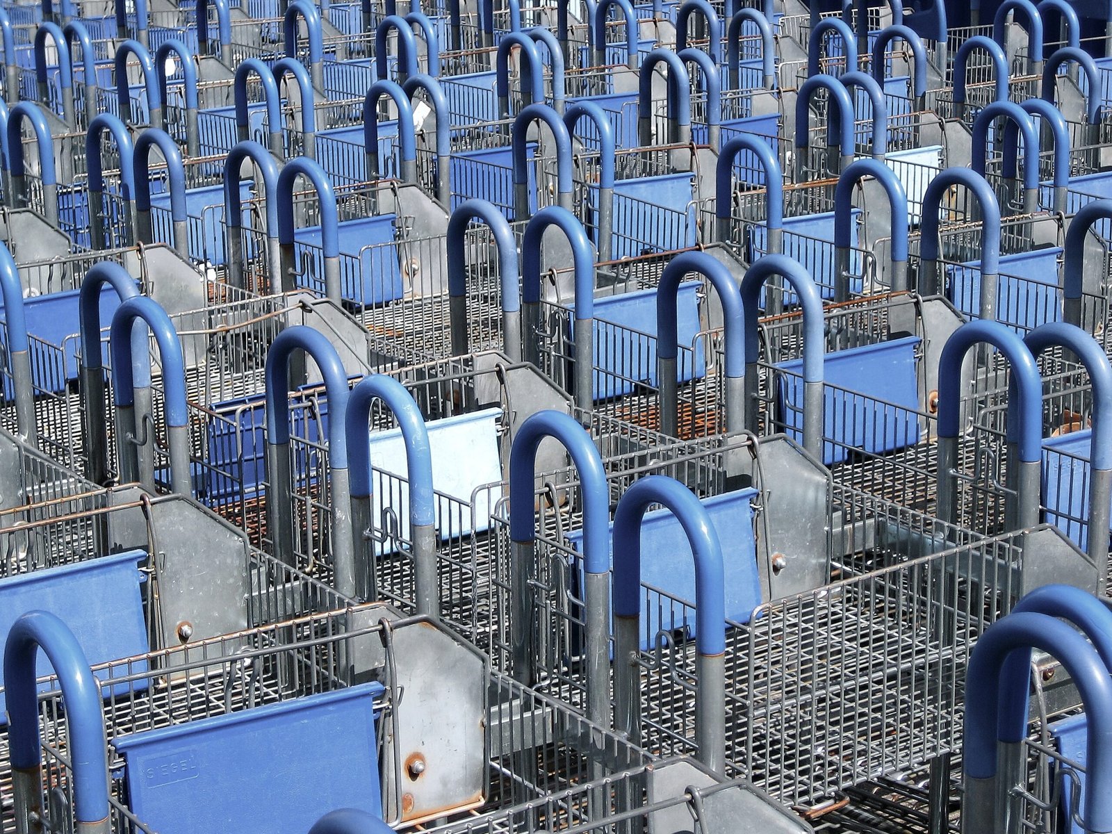 Steps to Become an Economist in the USA Steps to Become an Economist in the USA