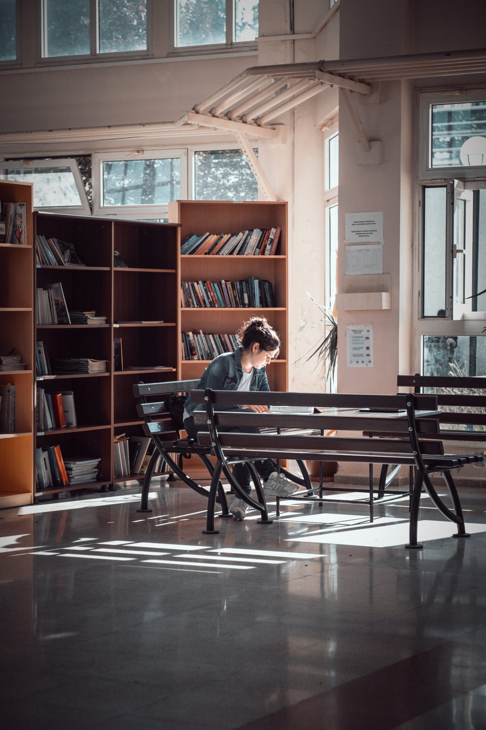 Steps to becoming a Dog Groomer in the USA Steps to becoming a Dog Groomer in the USA