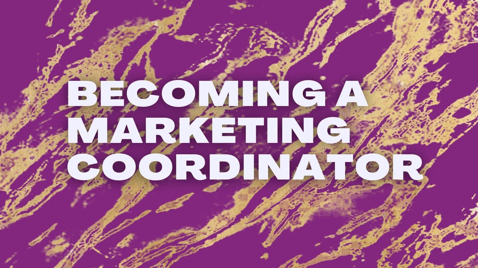 Steps to becoming a Marketing Coordinator in the USA