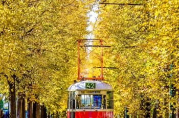 The Path to Becoming a Civil Engineer